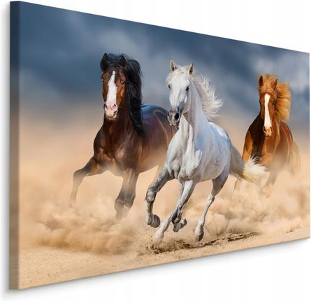 Obraz Ścienny Konie w Galopie Pustynia 3D 70x50