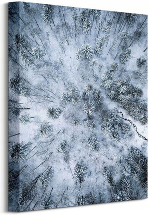 Zaśnieżony las duży obraz na płótnie 30x40 cm