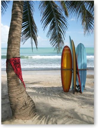 Plaża Palma Surfing plakat obraz 30x40cm #118
