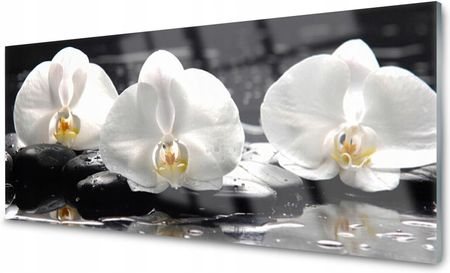Obraz na Szkle Kwiat Biała Orchidea Szklany 125x50