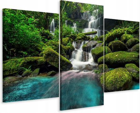 Obraz 3-częściowy Krajobraz Dżungla Woda 120x80