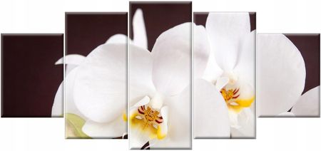 Tryptyk 150x70 Biały Storczyk Kwiaty do salonu