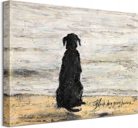 Sam Toft Czarny pies na plaży Obraz płótno 40x30cm