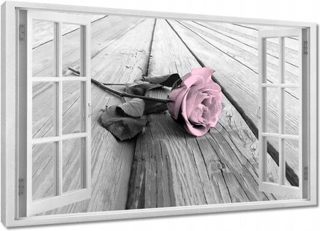 Obrazy 120x80 Pudrowy róż Old pink Rose