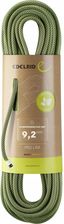 Zdjęcie Edelrid Lina Hummingbird Eco Dry 9,2mm 70m Night Citrus - Karczew