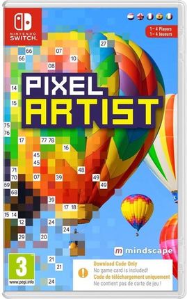 Pixel Artist (Gra NS)