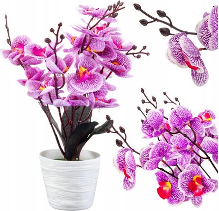 Storczyk Sztuczny W Doniczce Kwiaty Orchidea 40cm