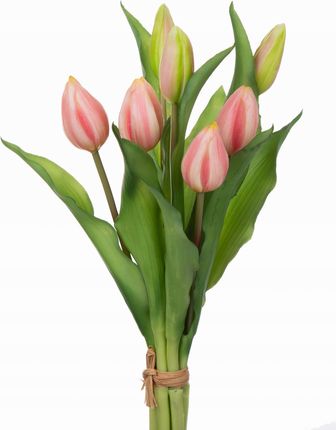 Tulipany Bukiet Tulipanów Gumowe Sylikonowe Róż Kr