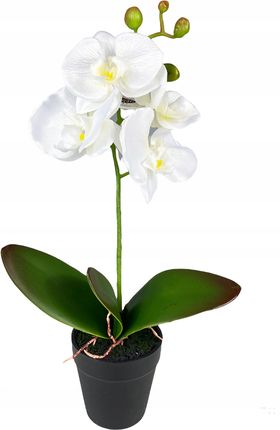 Storczyk W Doniczce biały Orchidea kwiaty sztuczne