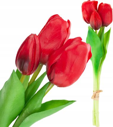 Bukiet Tulipanów Gumowanych Czerwonych 3SZT Lux