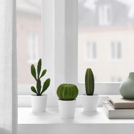 Ikea Fejka Sztuczna rolina 3 szt. mini Kaktus - Opinie i atrakcyjne ceny  na Ceneo.pl