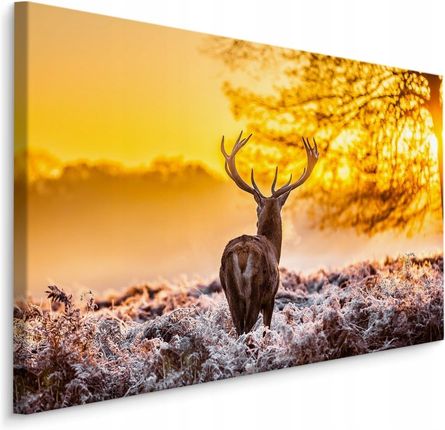 Obraz Las Jeleń Wschód Słońca Natura Pejzaż 40x30