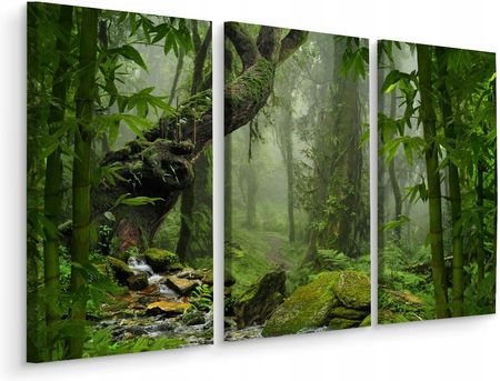 Obraz Tryptyk Las Tropikalny Krajobraz 3D 180x120