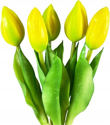 Tulipany Tulipan Bukiet Gumowane Gumowe Żółte 5SZT