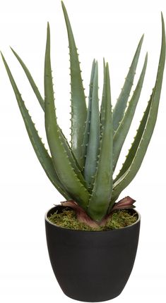 Sztuczna Roślina w doniczce Aloes Kwiat wys.44 cm