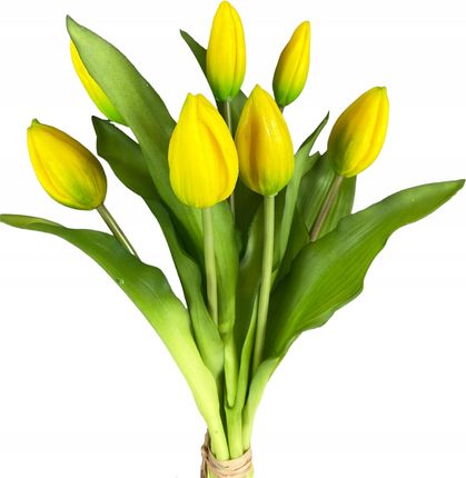 Bukiet Tulipanów 7szt Tulipany Gumowane Żółte