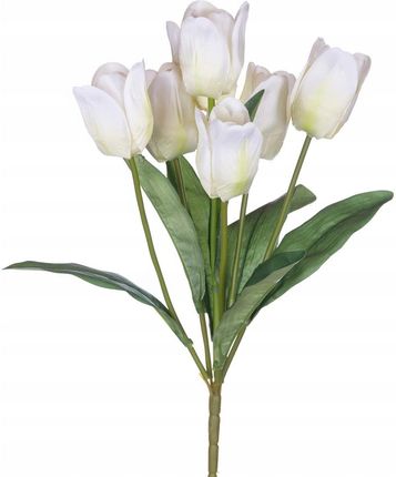 Tulipany kremowe bukiet do wazonu kompozycji