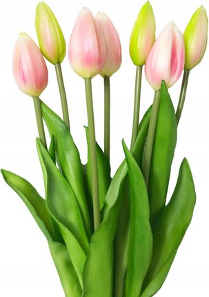 Tulipany Gumowane bukiet 7 szt różowy jasny pąki