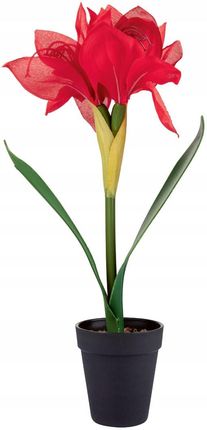 Livarno Amarylis sztuczny kwiat w doniczce 42 cm