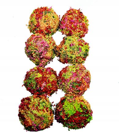 Kolorowe kule kulki dekoracyjne z suszu 8 szt 8 cm