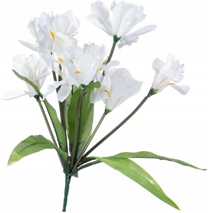 Bukiet białych kwiatów Irys do wazonu na grób