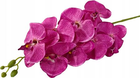Storczyk Orchidea Duża Gałązka Kwiatów 107cm kwiat
