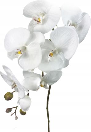 Storczyk Biały Orchidea Sztuczny Kwiat Gałązka 103