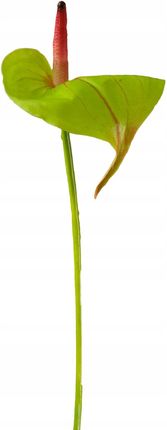 Sztuczny Kwiat do wazonu Anturium 65cm