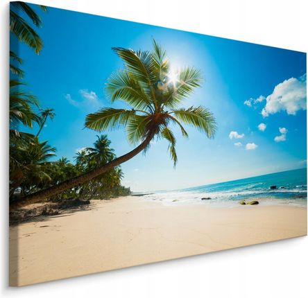 Obraz do salonu morze drzewa tropikalne 3D 30x20
