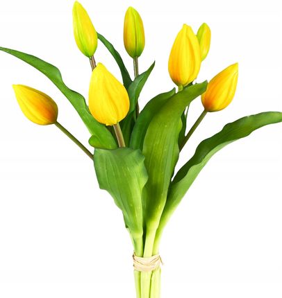 Bukiet Tulipanów 7szt Tulipany Gumowane Żółty Poma