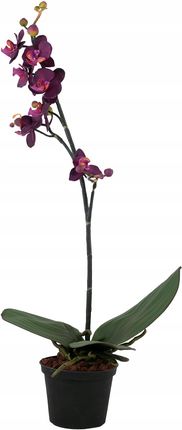 Sztuczny Kwiat Storczyk Falenopsis wys. 52cm