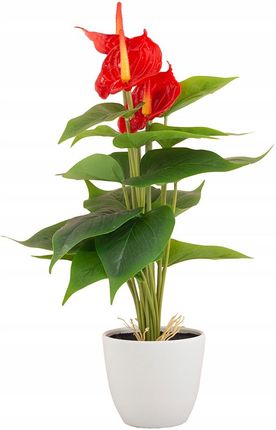 Sztuczna Roślina kwiat Anturium czerwona wys. 40cm