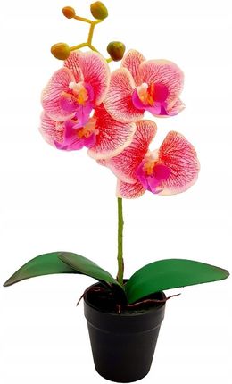 Storczyk Sztuczny storczyki kwiat Orchidea 38cm 4