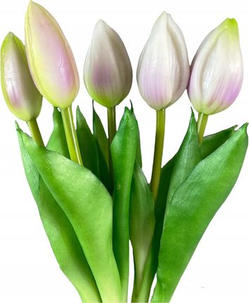 Tulipany Tulipan Bukiet Gumowane Fioletowe J 5SZT