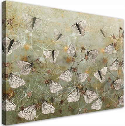 Feeby Obraz Do Salonu Abstrakcyjne Motyle Łąka 100X70