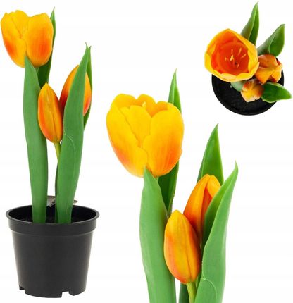 Tulipan Tulipany Gumowane Kwiaty Jak Żywe Premium