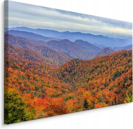 Obraz do Przedpokoju Las w Górach Jesień 3D 120x80