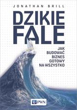 Zdjęcie Dzikie fale - Jastarnia