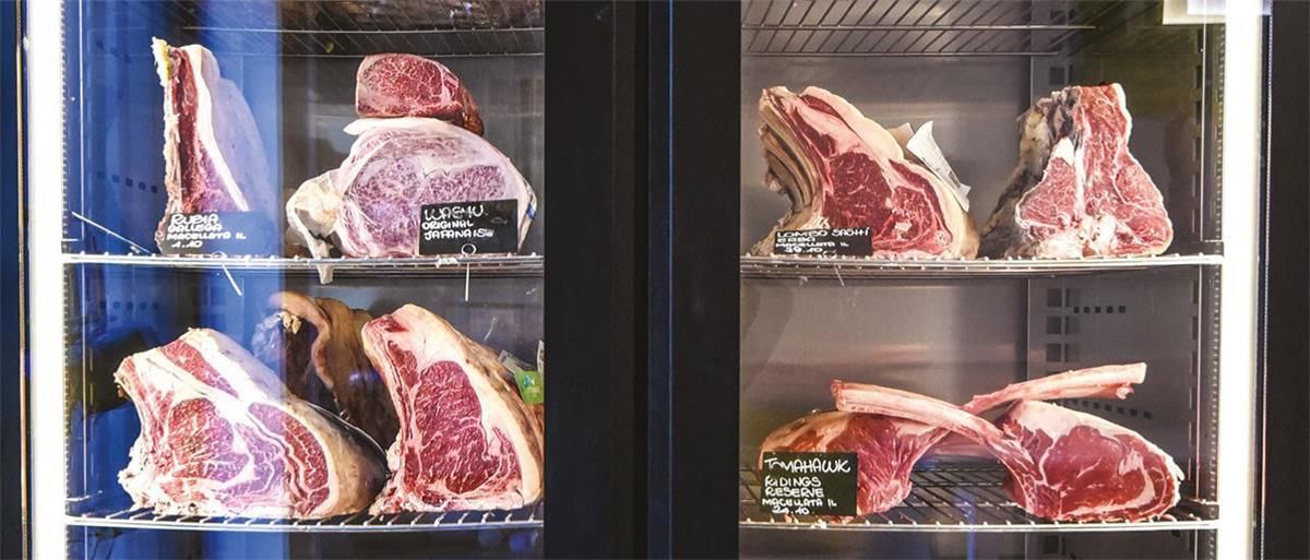 Szafa Do Sezonowania Klima Meat Easy 500 Zernike Kme500Pvb - ceny i ...