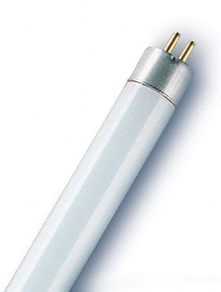 Osram Świetlówka liniowa BASIC L 8W/ 640 G5 T5 (4050300035475)