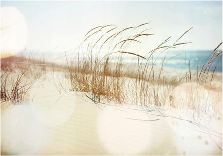 Wallarena Fototapeta Plaża Morze 3D Wydmy Trawa 312x219 14596VEXXL