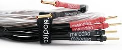 Zdjęcie Melodika Bsbw22515 (Bsbw 22515) Brown Sugar Kabel Głośnikowy Bi-Wiring Klasy Pre Hi-End Ofc 6N - 1,5M - 2 Szt - Pabianice