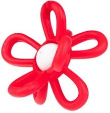 Zdjęcie Dumel Grzechotka Kwiatek Czerwony - Skarszewy