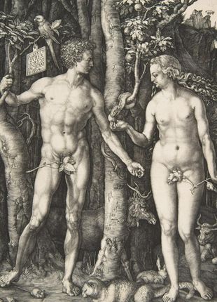 Zakito Posters Plakat 20,5x28,4 Adam i Ewa Albrecht Dürer