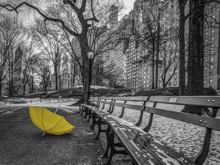 Zakito Posters Plakat 80x60cm Żółty parasol na ścieżce w Central Parku 2 Assaf Frank