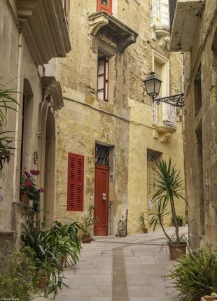 Zakito Posters Plakat 20,5x28,4cm Wąska uliczka wśród tradycyjnych maltańskich domów w Birgu Assaf Frank