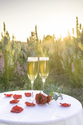 Zakito Posters Plakat 20x30cm Kieliszki do szampana i kosz kwiatów na stole w polu przy zachodzie słońca Assaf Frank