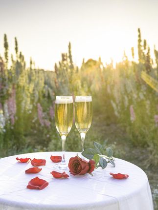 Zakito Posters Plakat 30x40cm Kieliszki do szampana i kosz kwiatów na stole w polu przy zachodzie słońca Assaf Frank
