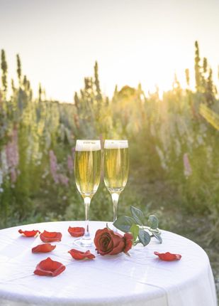 Zakito Posters Plakat 39,5x55cm Kieliszki do szampana i kosz kwiatów na stole w polu przy zachodzie słońca Assaf Frank