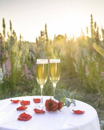 Zakito Posters Plakat 40x50cm Kieliszki do szampana i kosz kwiatów na stole w polu przy zachodzie słońca Assaf Frank